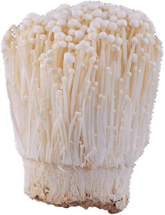 mushroom